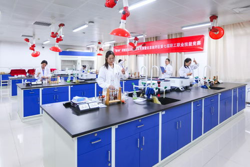 北京經(jīng)開區(qū)舉辦“精藝杯”藥物檢驗(yàn)員職業(yè)技能競(jìng)賽，助推產(chǎn)業(yè)人才高地建設(shè)